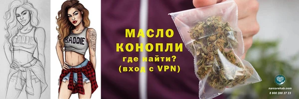 гашик Янаул