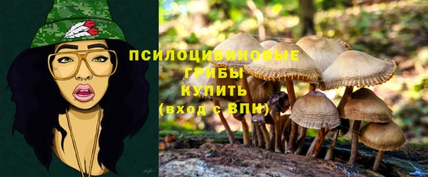 гидра Балабаново