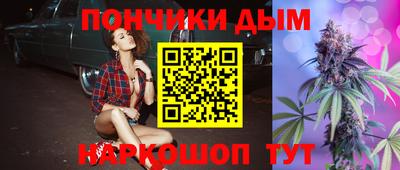 индика Можайск