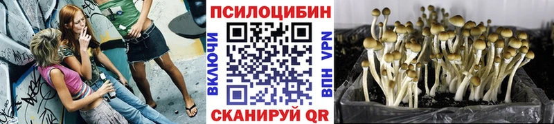Галлюциногенные грибы MAGIC MUSHROOMS  Армавир 