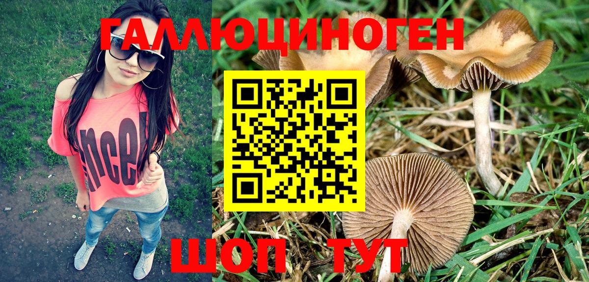 Галлюциногенные грибы Cubensis  Вход с VPN  Армавир 
