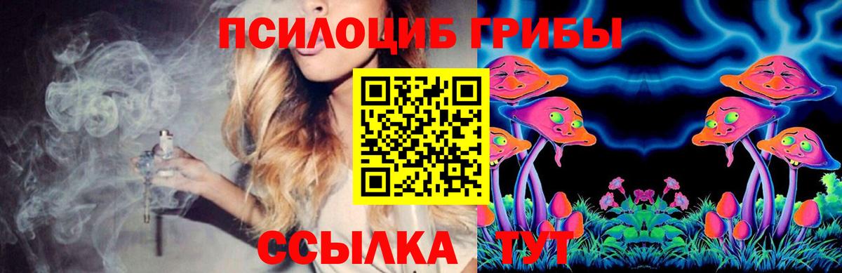 Псилоцибиновые грибы Psilocybine cubensis Армавир